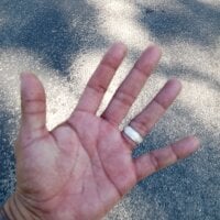 Sehen Sie sich Professor_Leo_s Live-Sexshow an