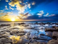 Sehen Sie sich sukku3s Live-Sexshow an