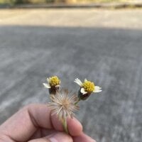 Watch wildpussycat69's Live Sex Show