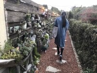 Watch _sizuku_o0's Live Sex Show