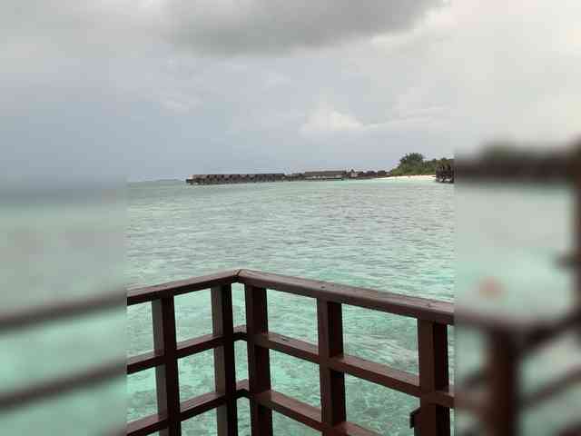 Taanni's Webcam Live Show