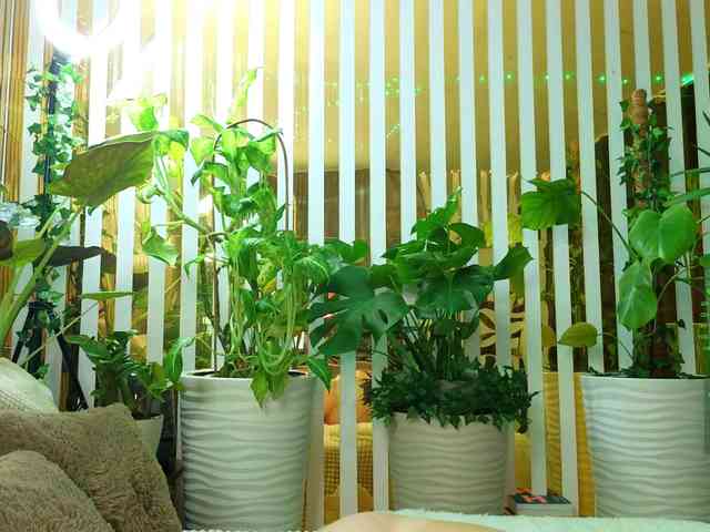 Порночат с MiaLiaHot