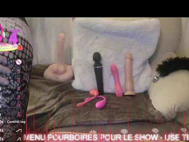 LISACAM2CAM Webcam-Liveshow