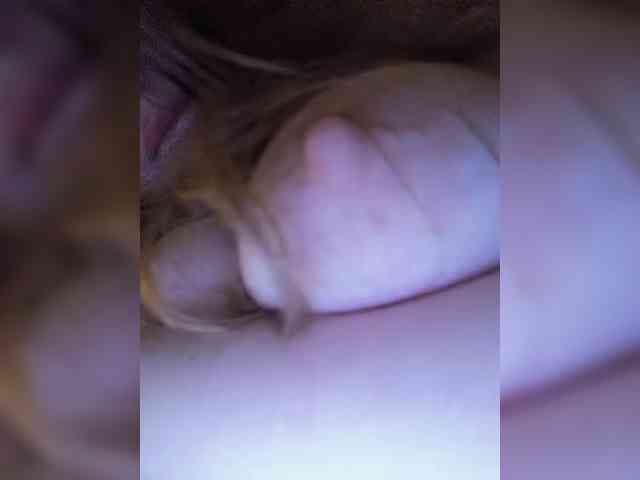 sweetkarinaa Webcam-Liveshow