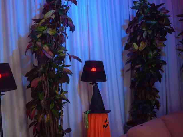 Порночат с EvaFashionista