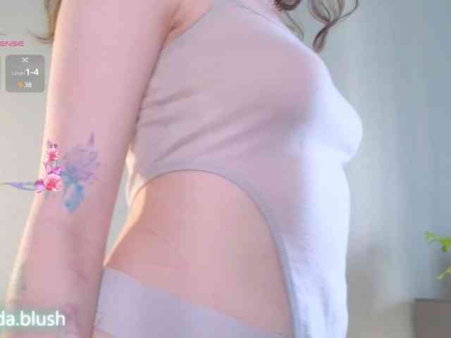 linpie Webcam-Liveshow