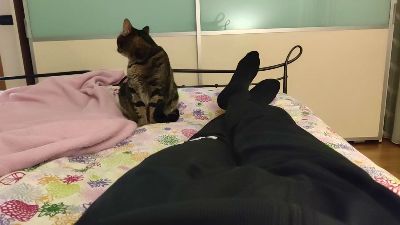 Порночат с 21Felix