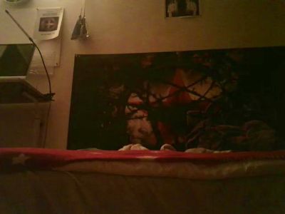 Alastis108 Webcam-Liveshow