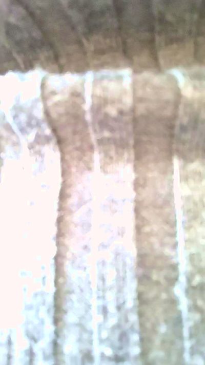 Annarellapika Webcam-Liveshow