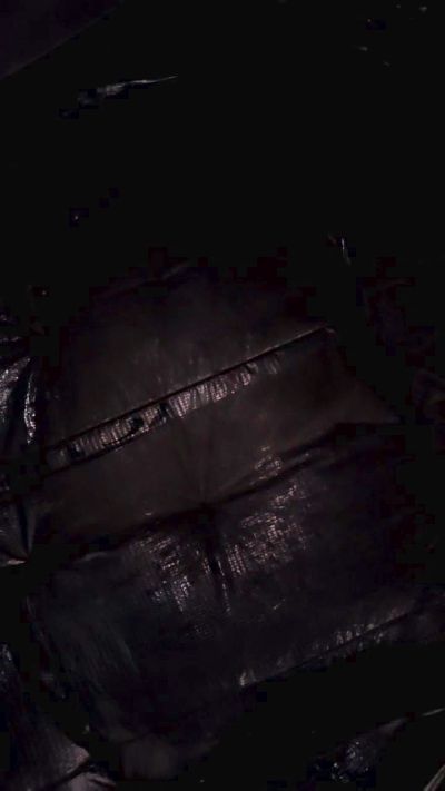 Порночат с Chavbear