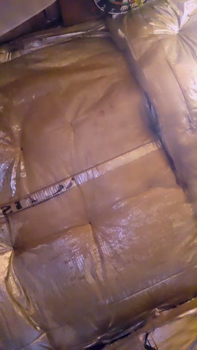 Chavbear's Webcam Live Show