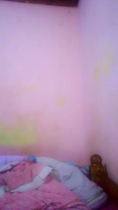 Elysca's Webcam Live Show