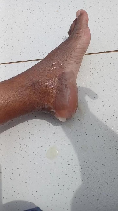 MacciSantana's Webcam Live Show