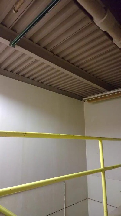 Rozzrunner's Webcam Live Show