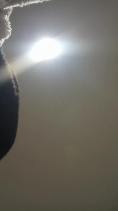 Tumorvosa Webcam-Liveshow