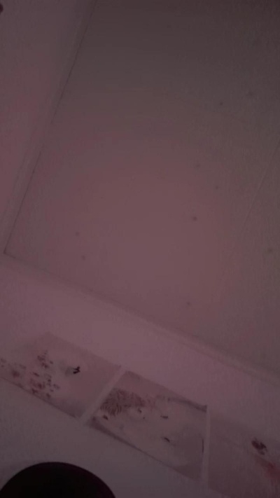 Tupapalarga's Webcam Live Show