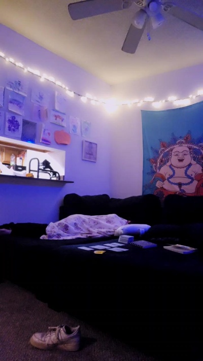 WallCats5's Webcam Live Show