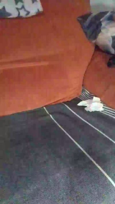 bcnxl2's Webcam Live Show