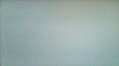 bigotito's Webcam Live Show