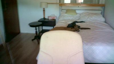 Порночат с makis89