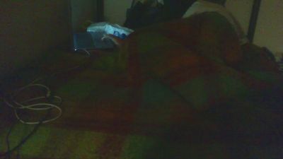 maleblue Webcam-Liveshow