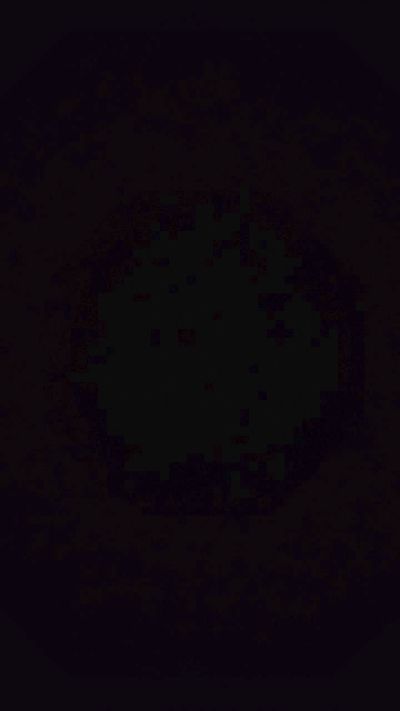 Порночат с niko8922