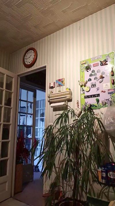 Порночат с smk781