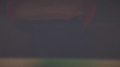 Порночат с terrassamen
