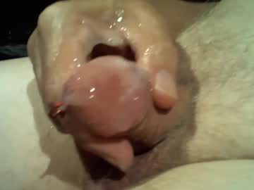Порночат с littleed