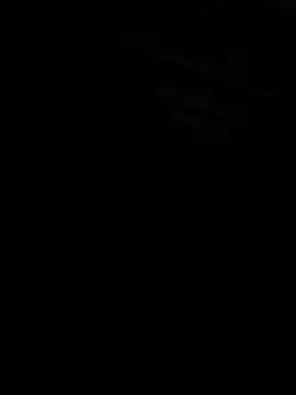 therawnomad Webcam-Liveshow