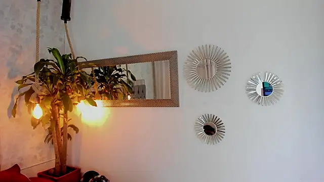 pixy_20 Webcam-Liveshow