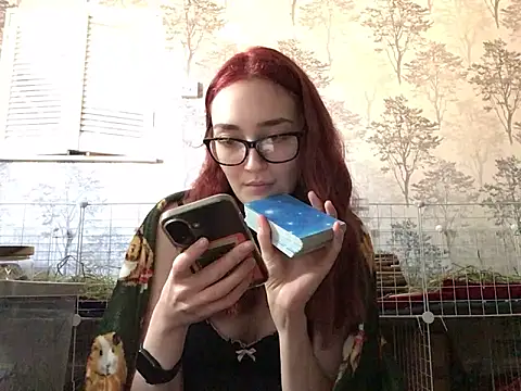 ivysplayhouse Webcam-Liveshow