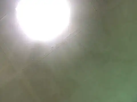proxanne Webcam-Liveshow