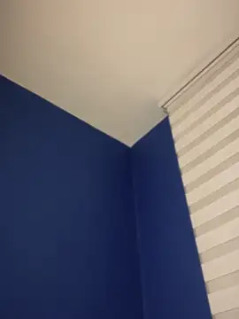 Порночат с BlackCat__