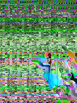 CatVibe's Webcam Live Show