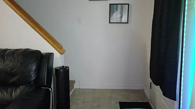 Thekodyy's Webcam Live Show