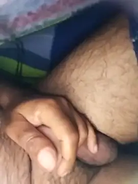 Pitercom Webcam-Liveshow