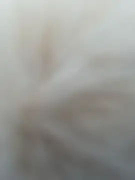 AngelinaTeller's Webcam Live Show