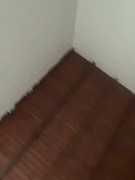 scofty's Webcam Live Show