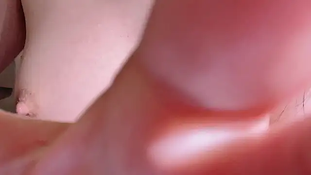 LT-333's Webcam Live Show